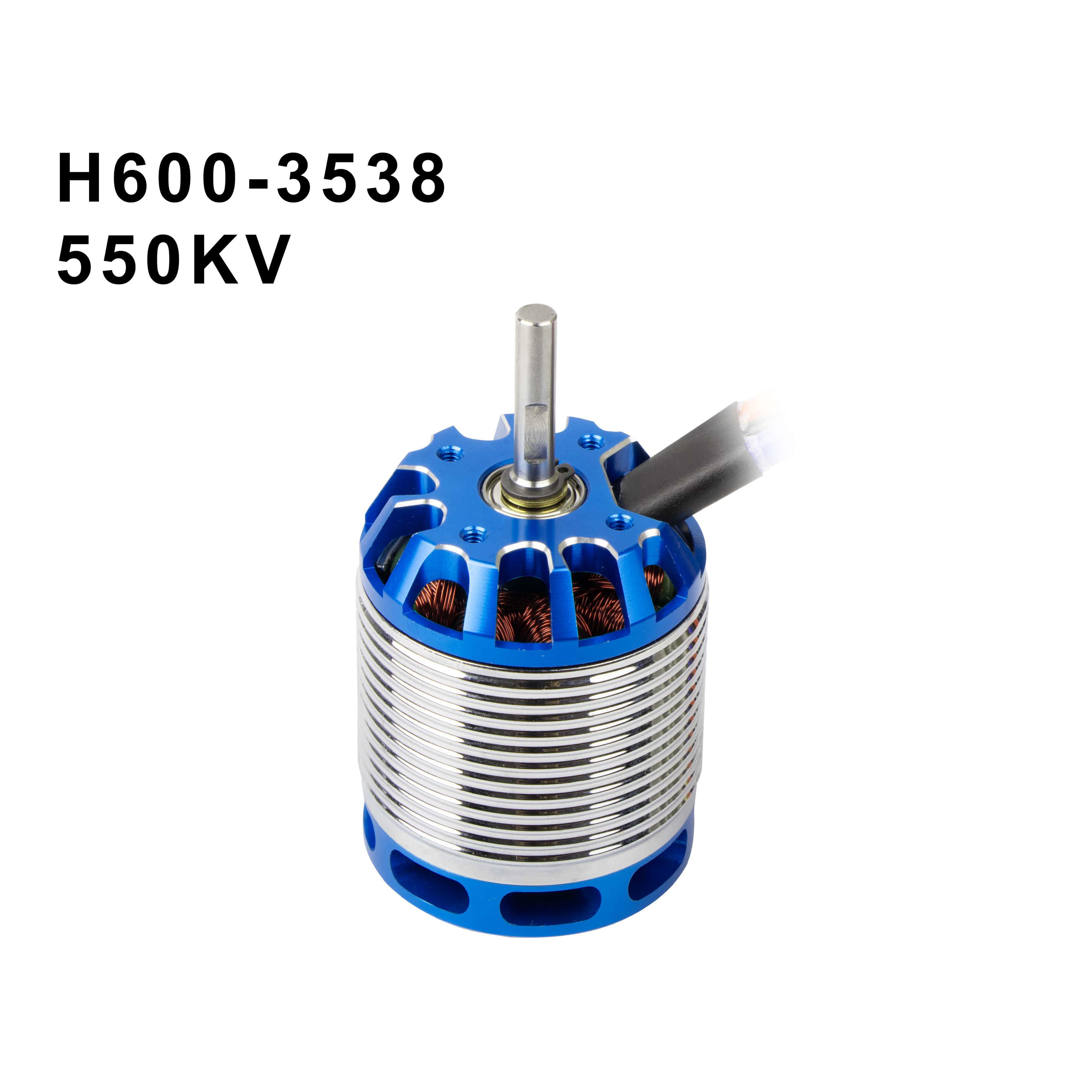 H600 Hubschraubermotor